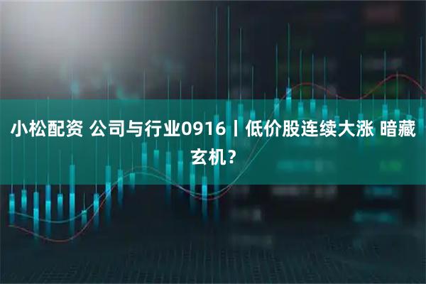小松配资 公司与行业0916丨低价股连续大涨 暗藏玄机？