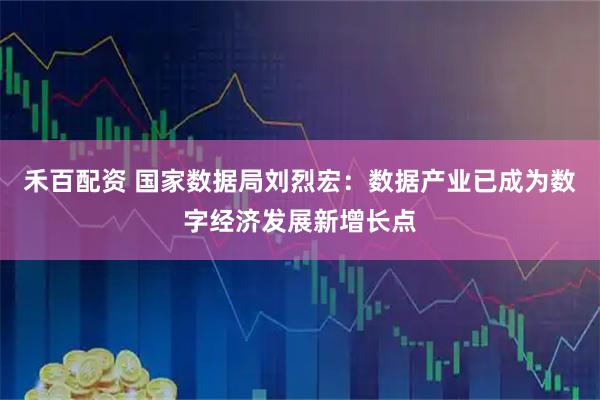 禾百配资 国家数据局刘烈宏：数据产业已成为数字经济发展新增长点