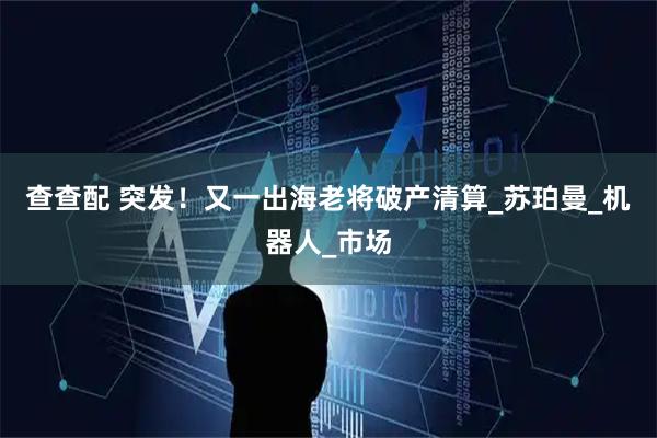 查查配 突发！又一出海老将破产清算_苏珀曼_机器人_市场